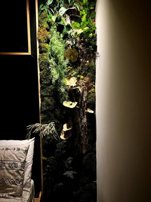 Onиea L Sauna & Spa Петит-Ривьер-Сен-Франсуа Номер фото
